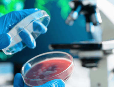 Biotech Startup Myconaut Receives Grant to Tackle PFAS Pollution with Fungi