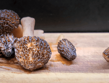 Raw Morels Linked to Fatal Outbreak at Popular Montana Sushi Restaurant