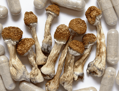 Study Establishes Best Practices for Psilocybin Therapy