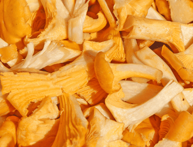 5 Surprising Health Benefits of Chanterelle Mushrooms