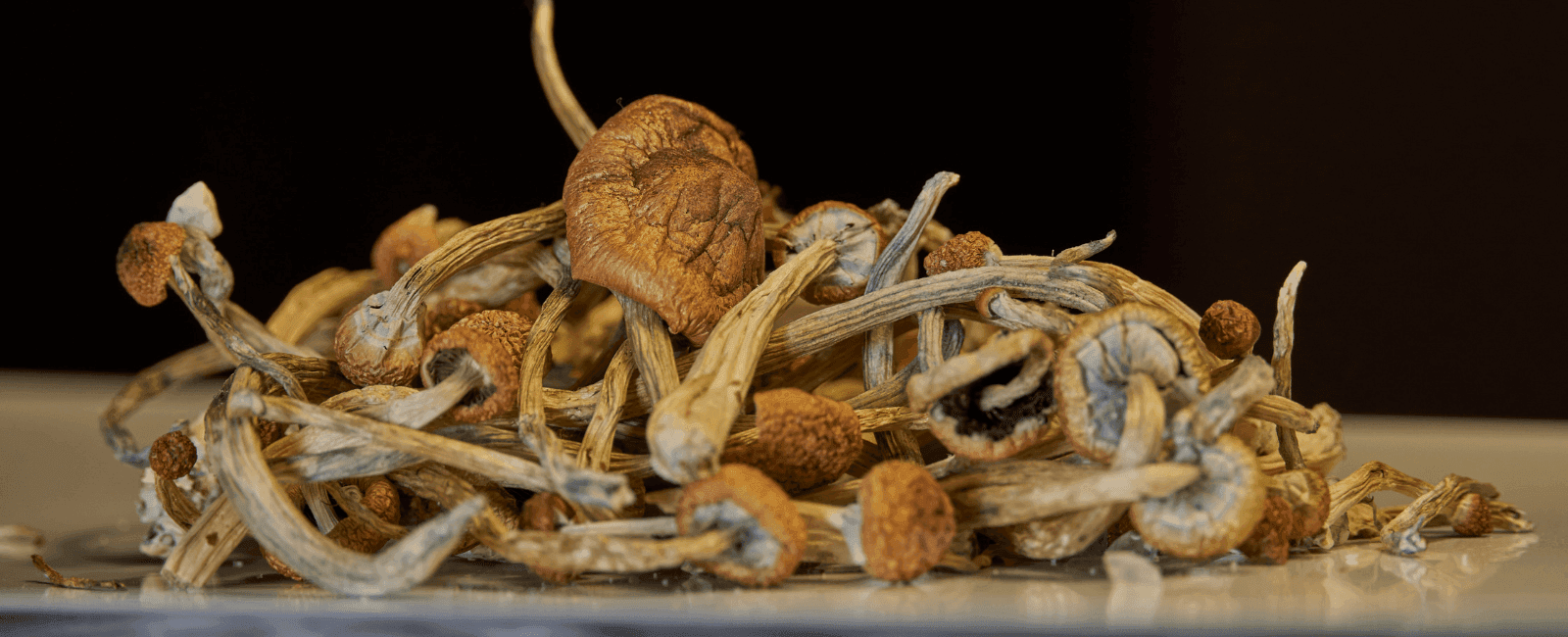 Psilocybin-Induced Neural Changes May Potentially Help Treat Alcohol Use Disorder